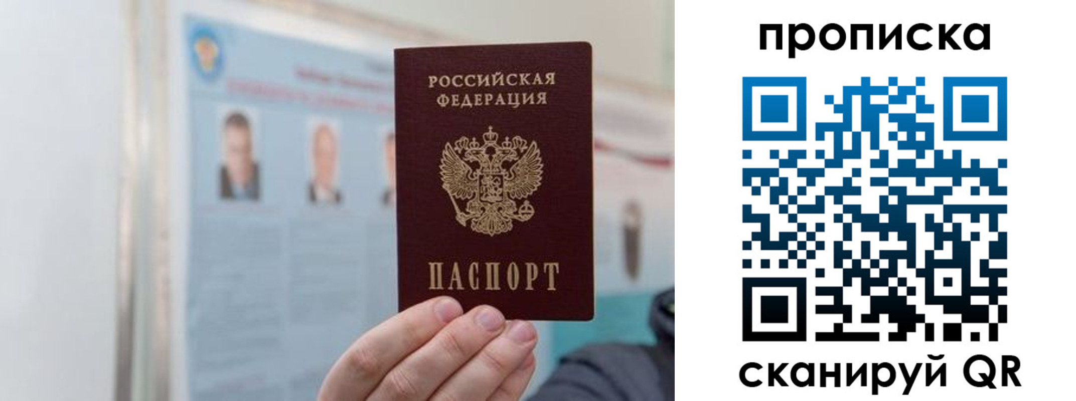 прописка 2025 в Алексине
